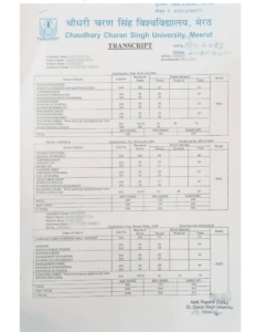 Chaudhri Charan Singh Transcript