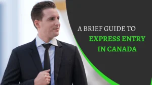 A Brief Guide To Express Entry In Canada