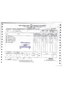 Sant Gadge baba -Amravati university transcript